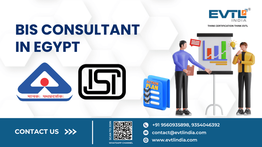 BIS Consultant in Egypt - EVTL India