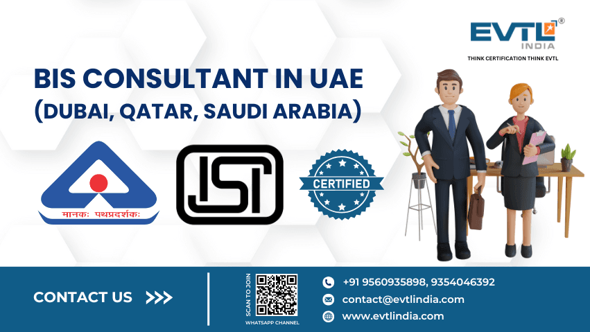 BIS Consultant in UAE (Dubai, Qatar, Saudi Arabia) - EVTL India