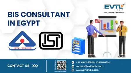 BIS Consultant in Egypt - EVTL India