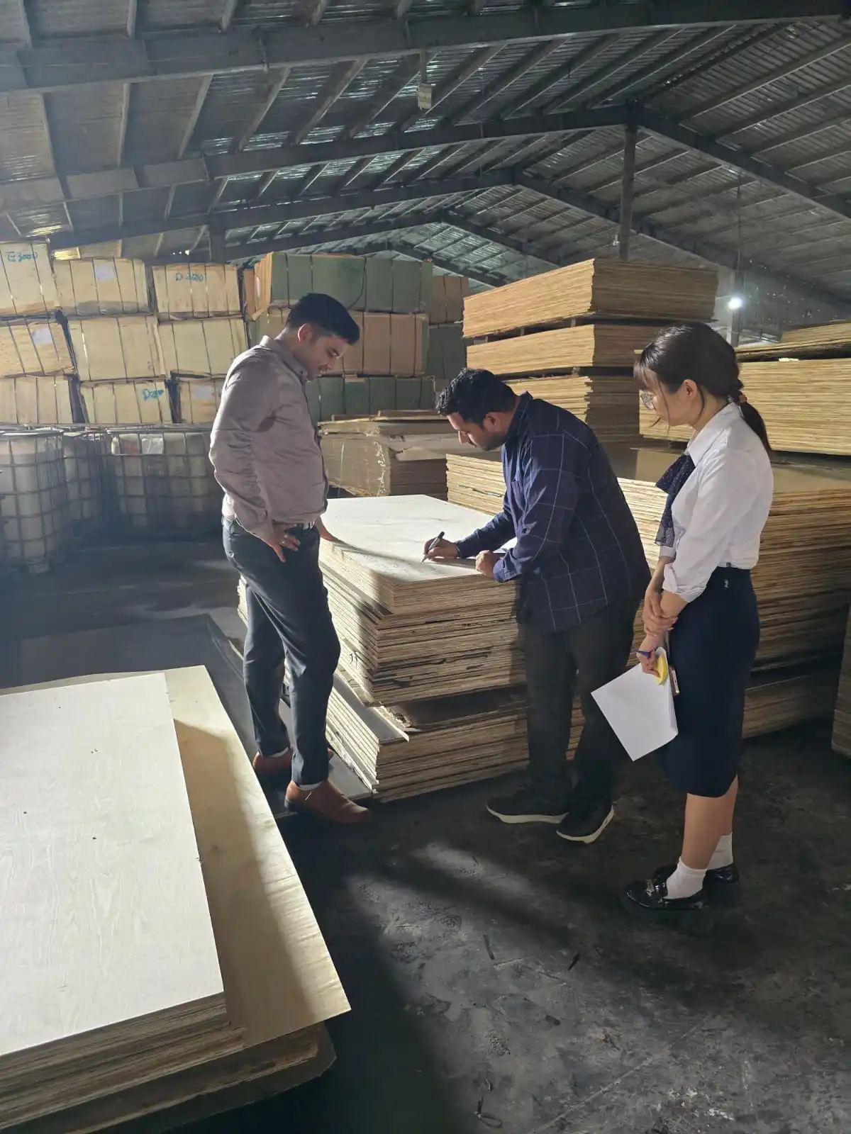 International-audit